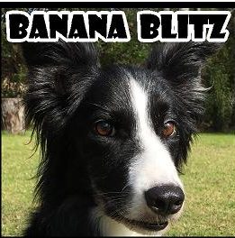 Blitz1