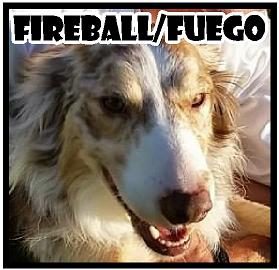 Fireball
