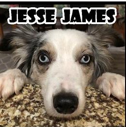 Jesse1