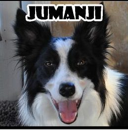 Jumanji