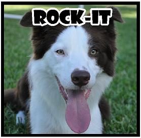 Rock-IT 1