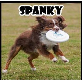 Spanky 1